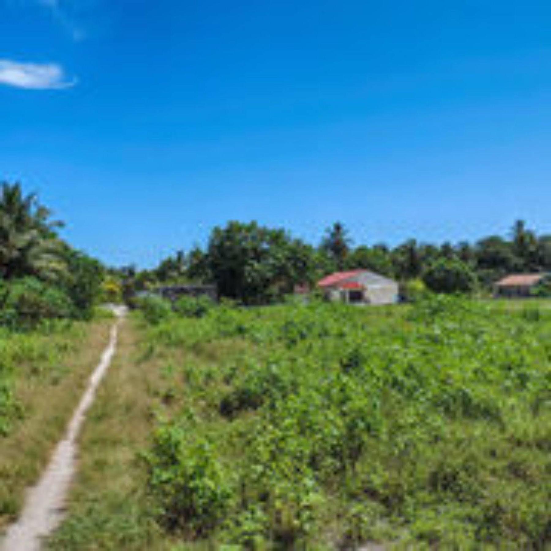 Feridhoo Inn